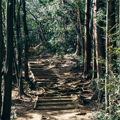 A股收评：三大指数均跌超1% 沪深两市成交额跌破2万亿