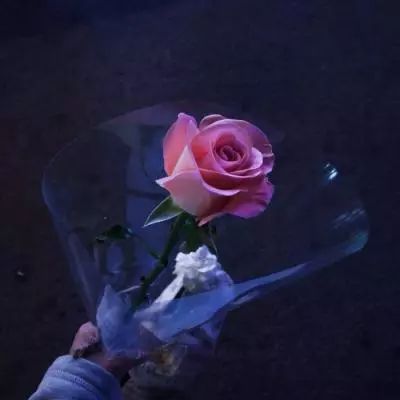 刘晓庆外甥方声明